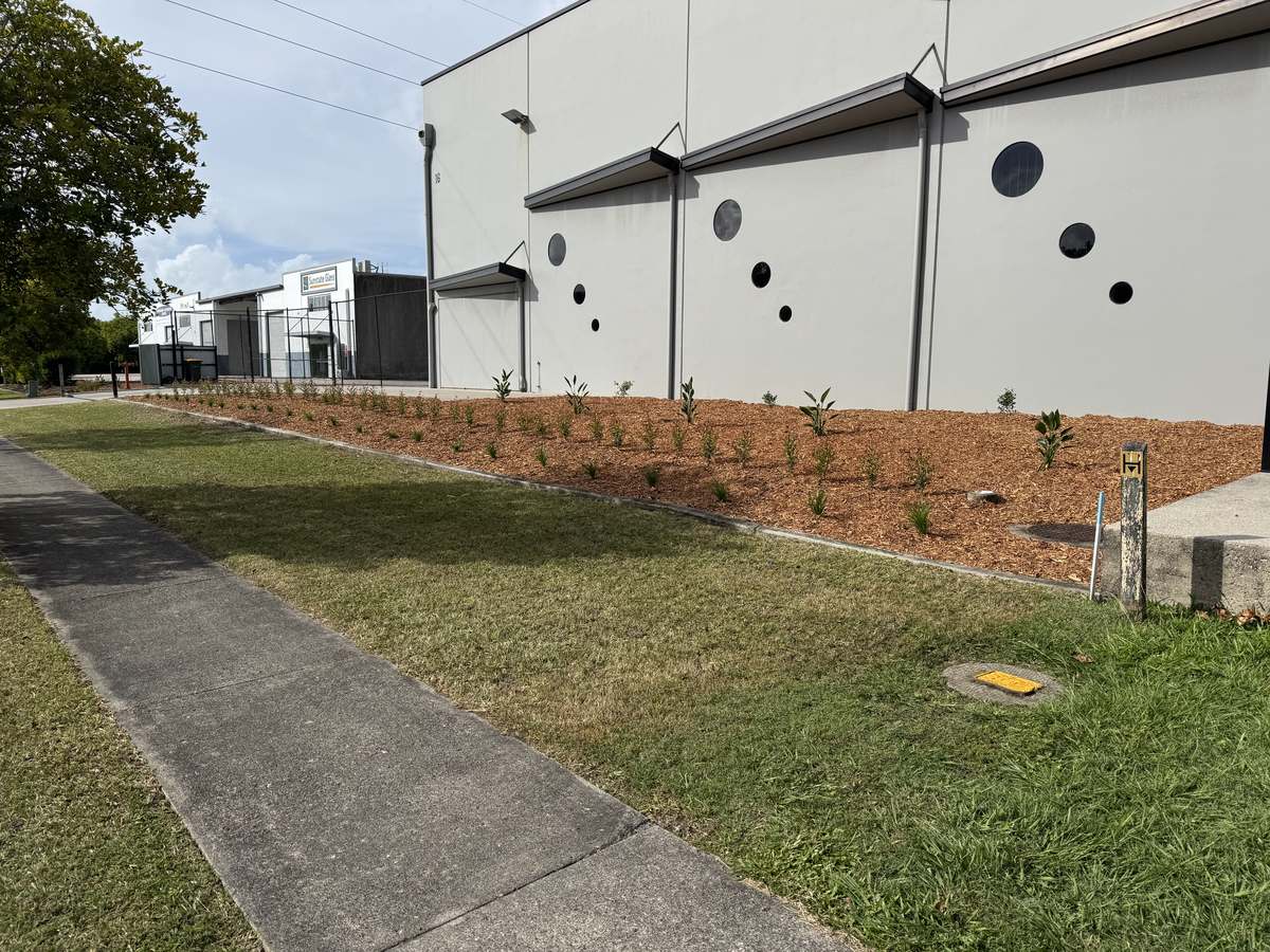 The same elevation after scrub removal, mulching and planting
