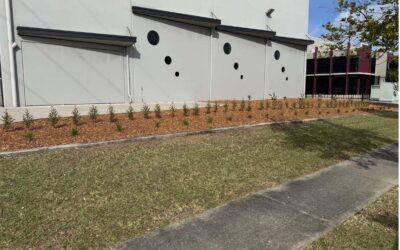 Garden Beds That Stay Tidy