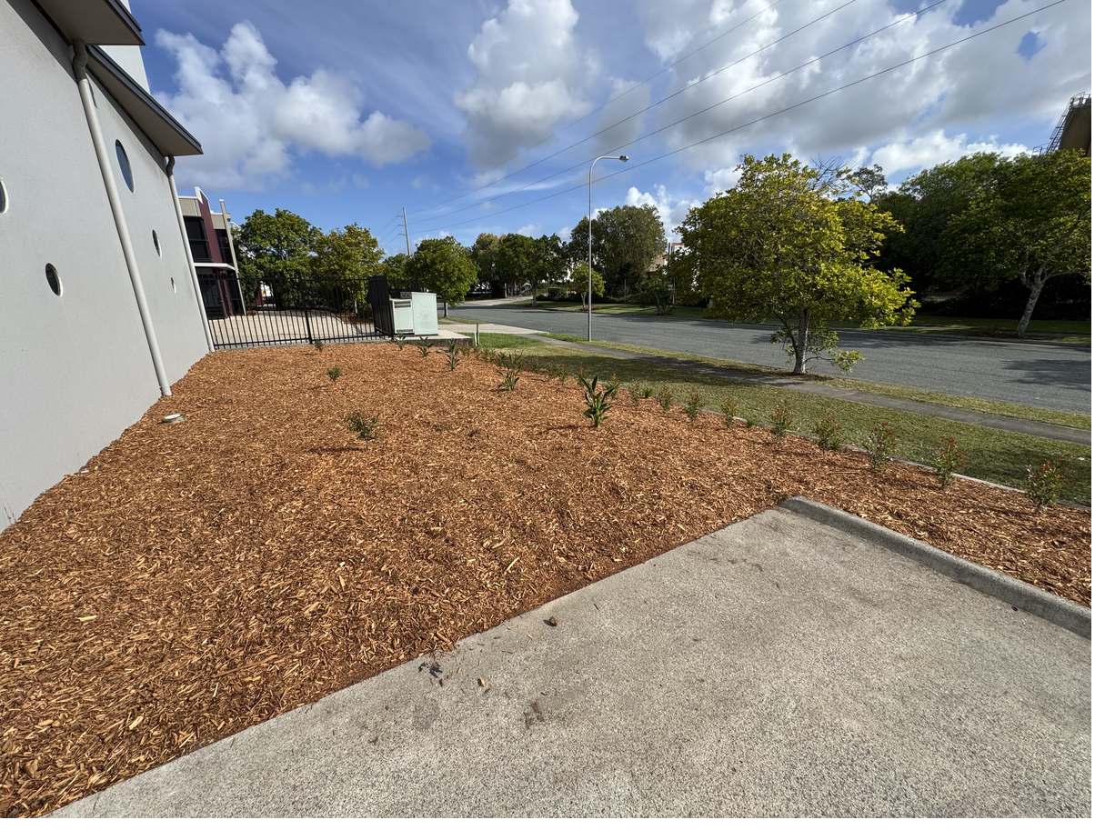 New garden bed carried through to the building corner at a Warana industrial property