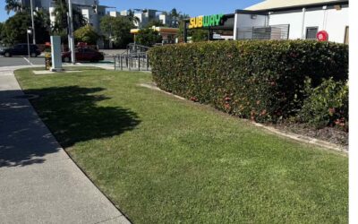 Hedging & Shaping Calendar for the Sunshine Coast