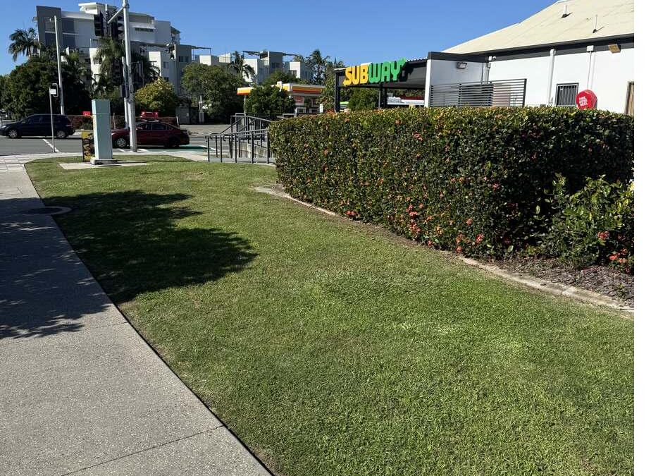 Hedging & Shaping Calendar for the Sunshine Coast