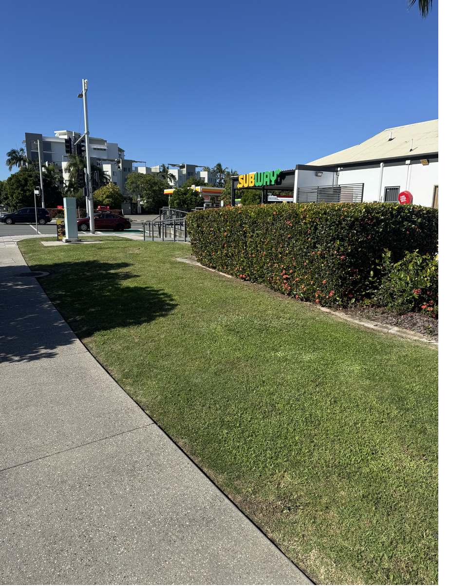 Trimmed hedge and edged turf beside a retail tenancy at Mooloolaba Junction