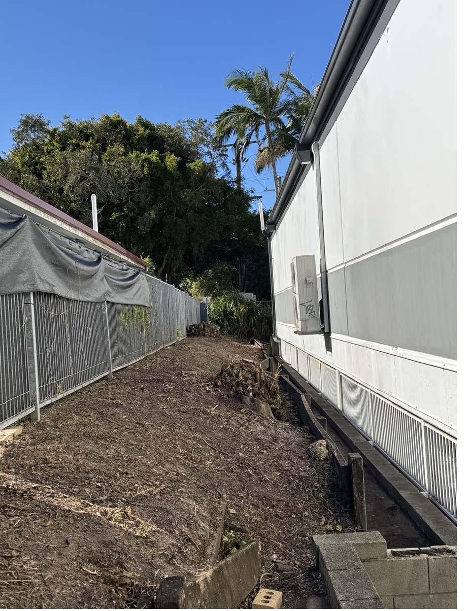 Overgrowth removed and service lane restored to full width at a Mooloolaba commercial site