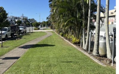 Palm De-fronding & De-seeding