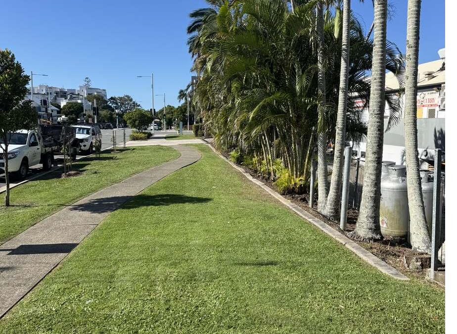 Palm De-fronding & De-seeding