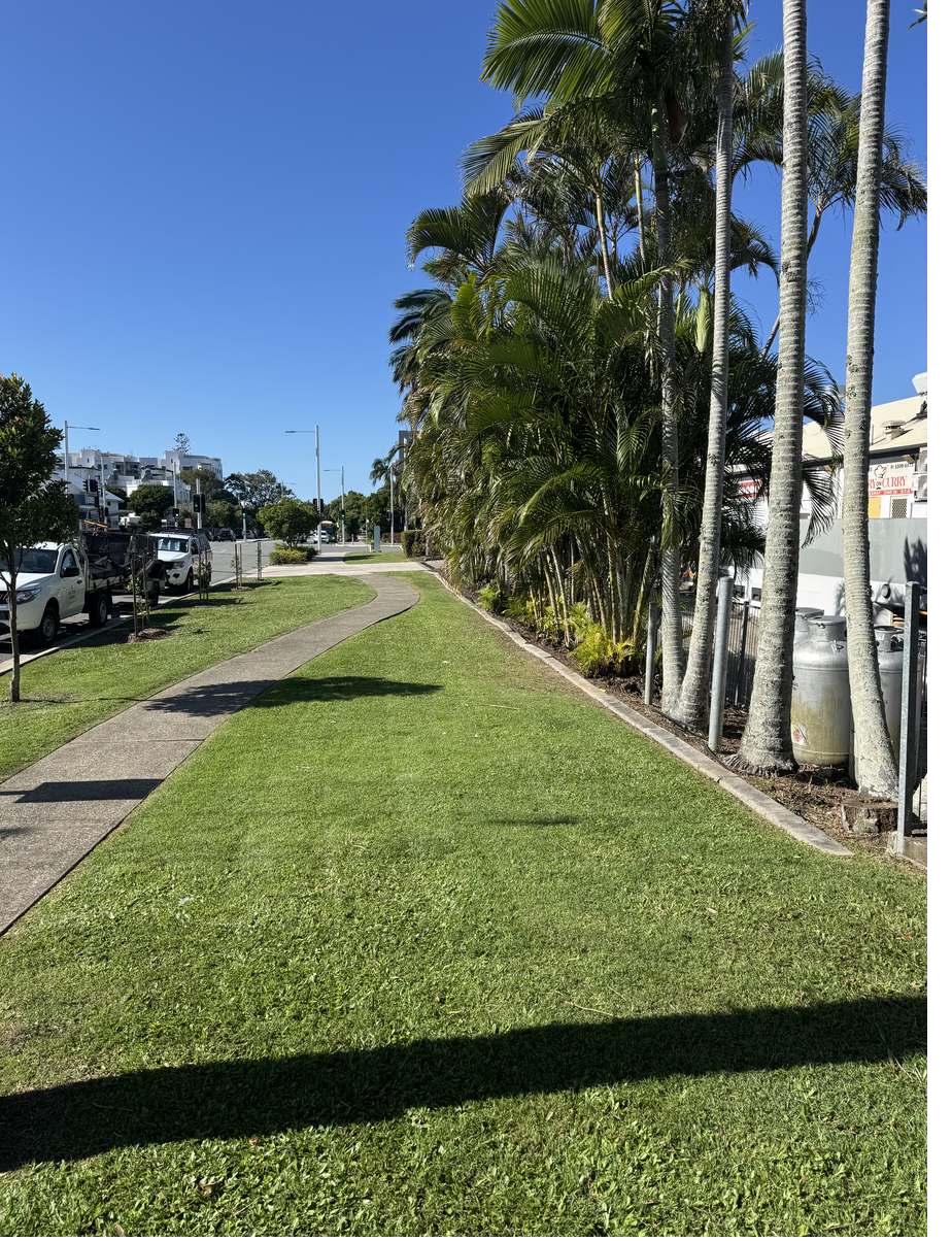 Mown and edged turf verge beneath palms at Mooloolaba Junction Convenience Centre