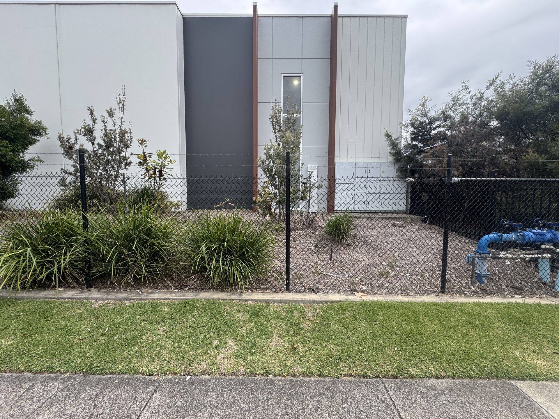 Maintained garden bed and lawn edge at an industrial estate