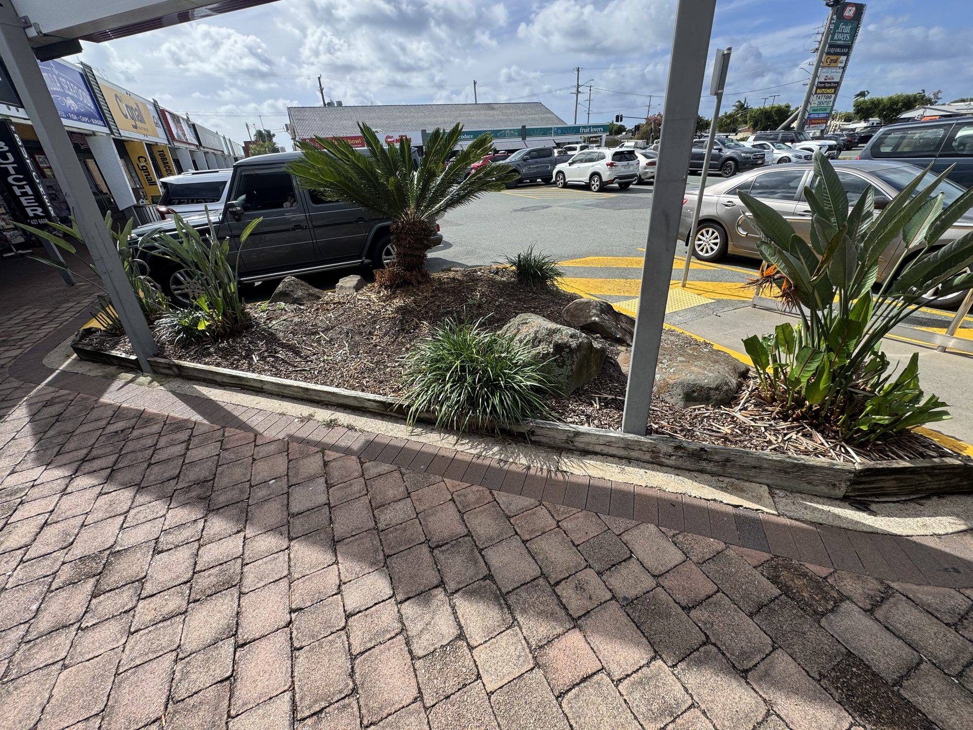 Paved commercial car park with maintained palms and garden beds