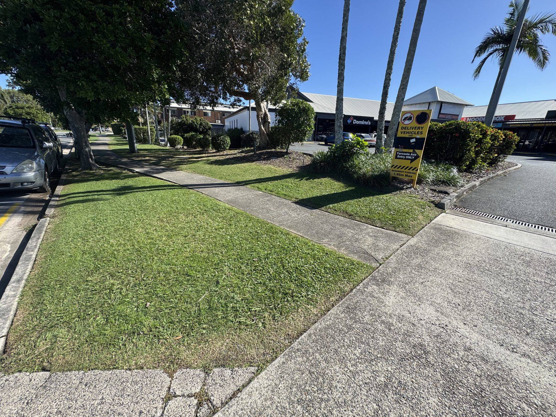 Maintained street verge with palms and edged lawn