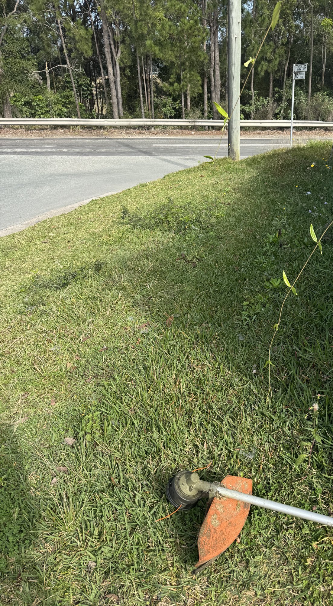 Brushcutter on the street verge of a vacant commercial lot