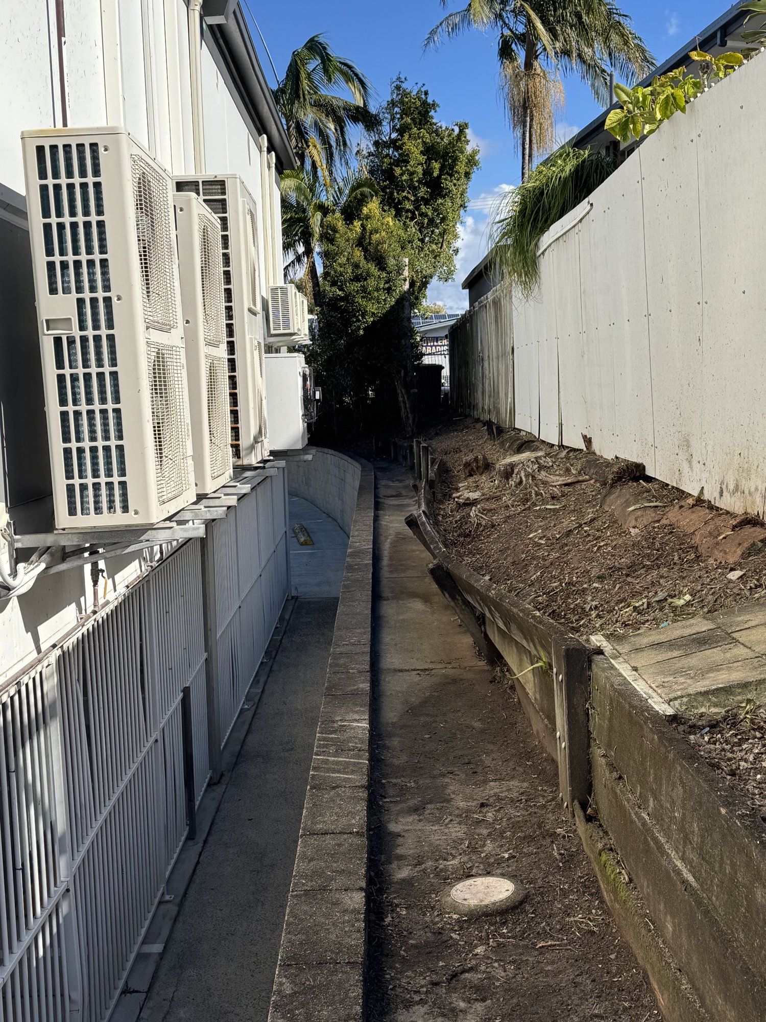 Cleared side passage along a commercial building on the Sunshine Coast