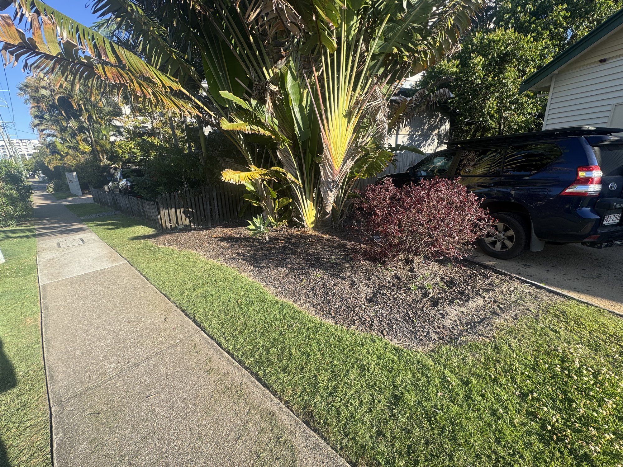 Edged path with clipped lawn and a tropical garden bed at a commercial premises on the Sunshine Coast