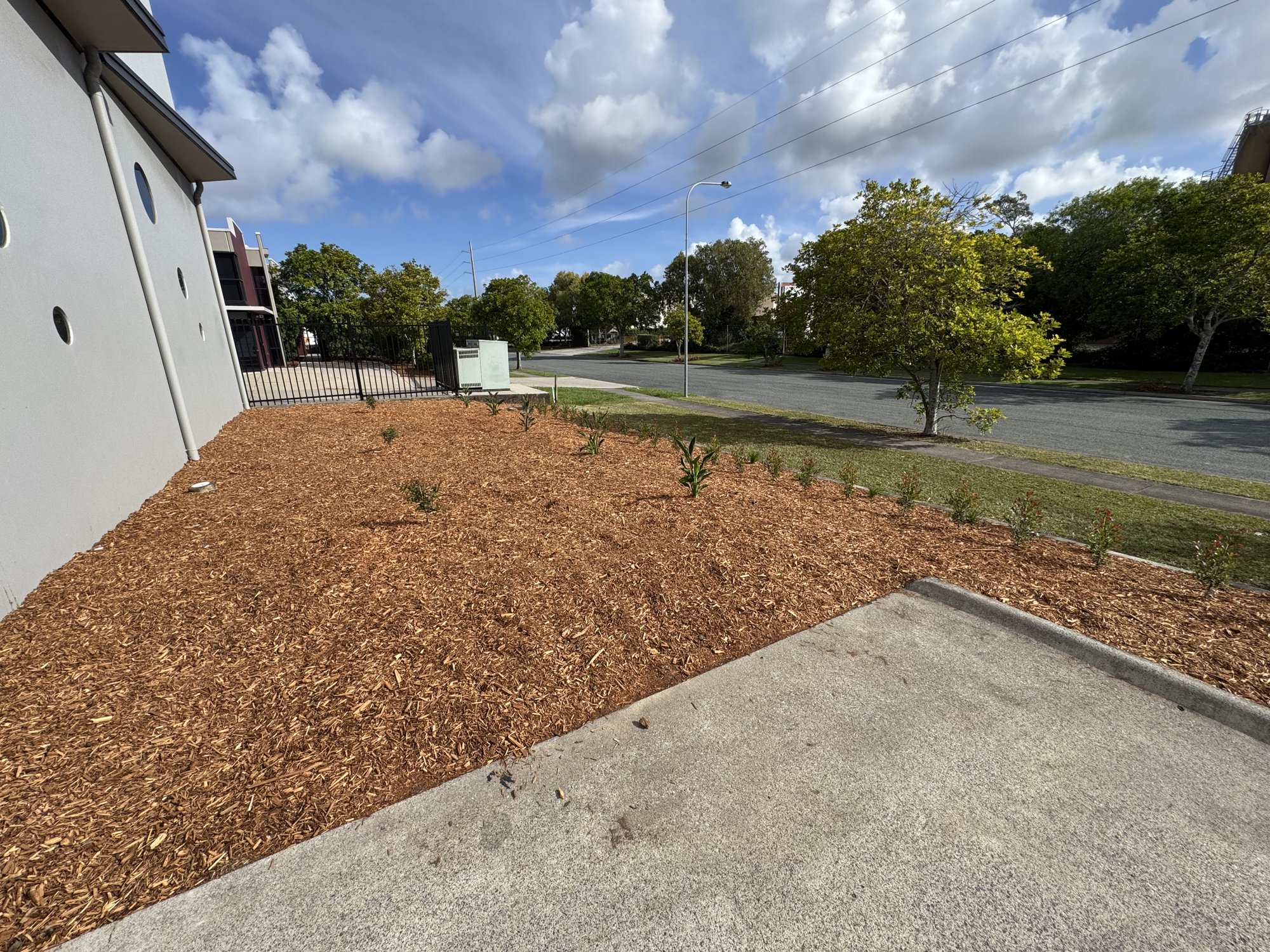 Finished native garden bed along an industrial unit frontage looking toward the street