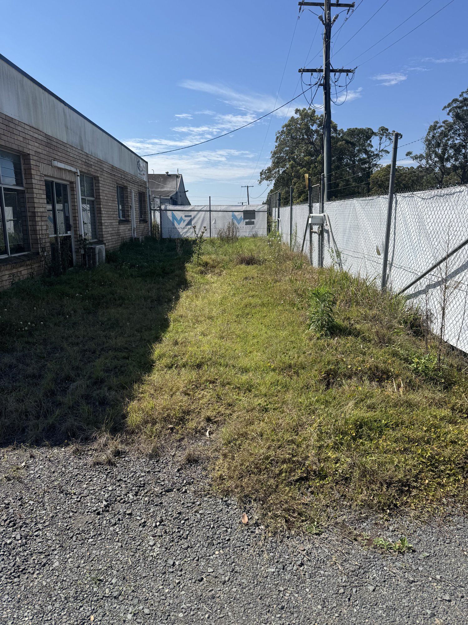 Knee-high grass along the side of a commercial building before slashing