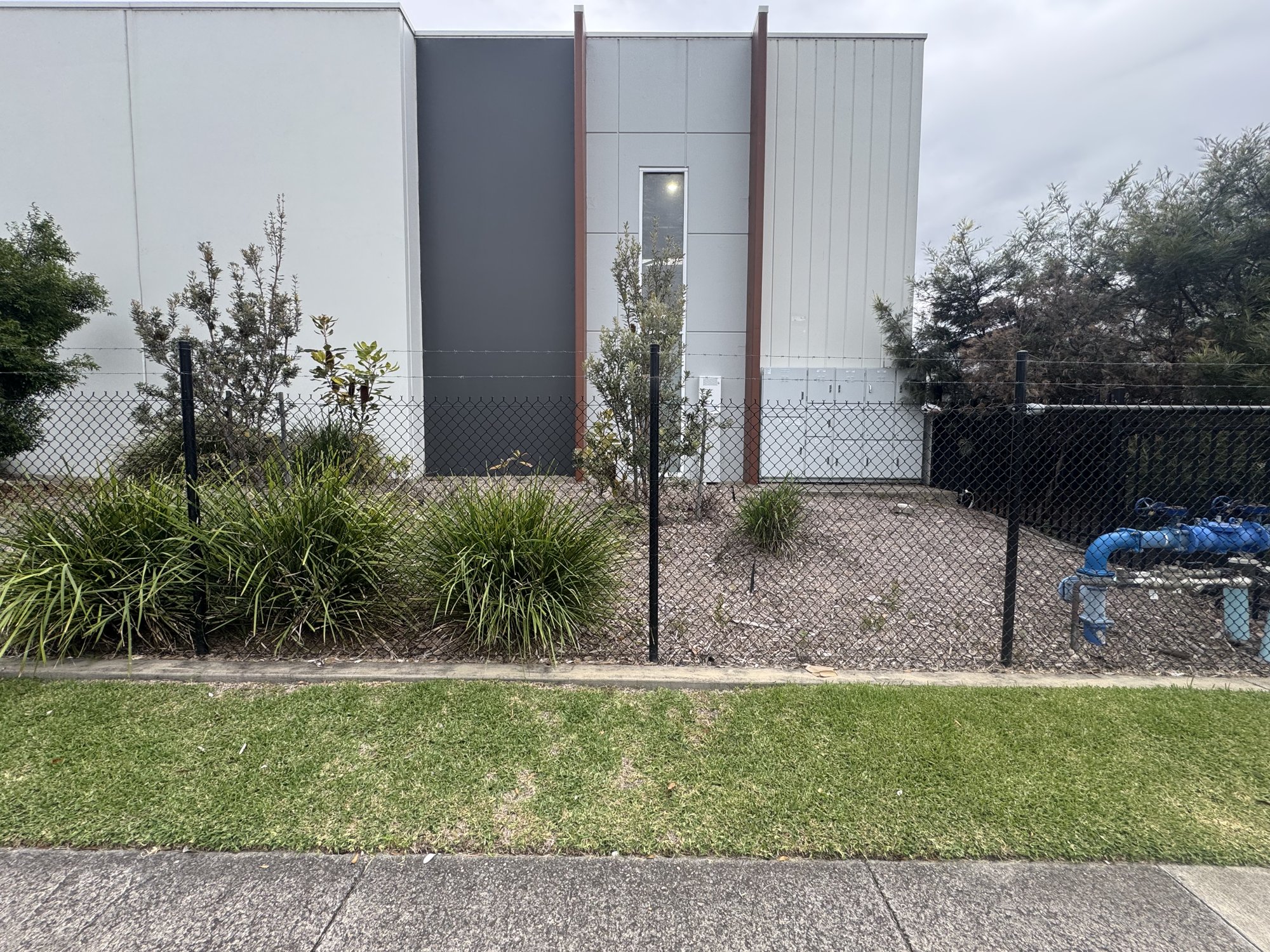Lomandra and native garden bed at an industrial unit frontage