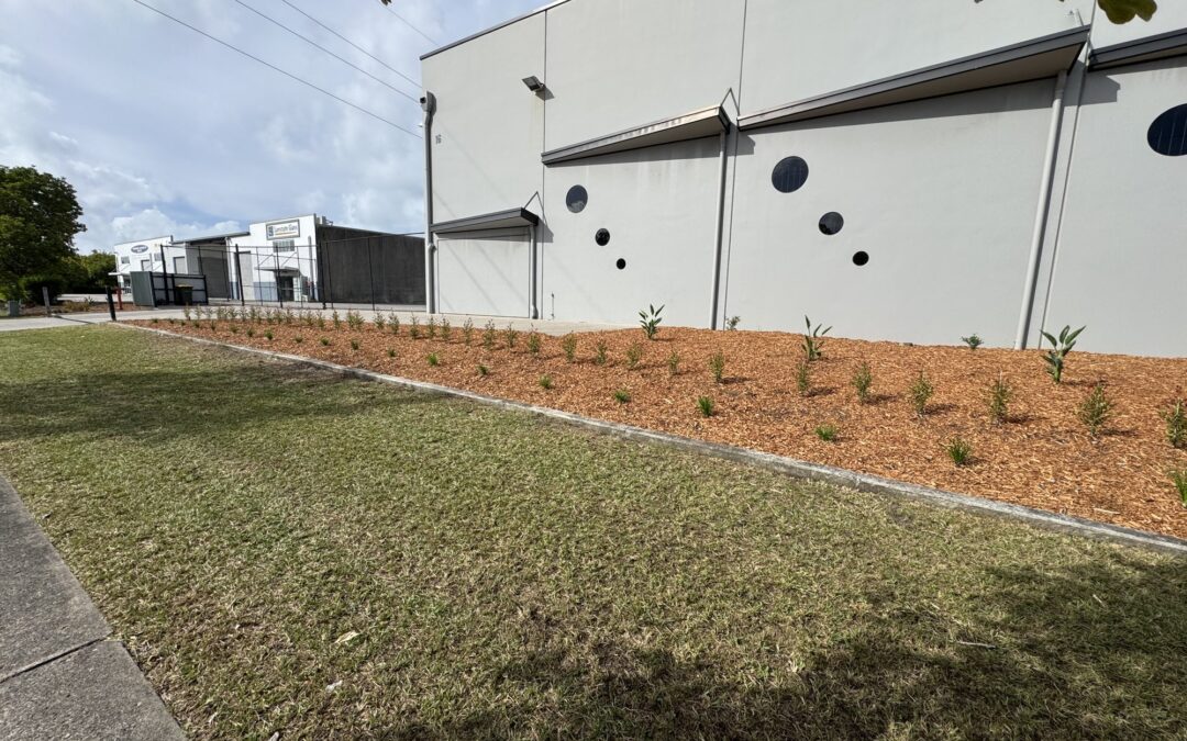 Low-Maintenance Native Garden Beds for Industrial Estates