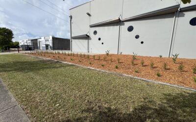Low-Maintenance Native Garden Beds for Industrial Estates
