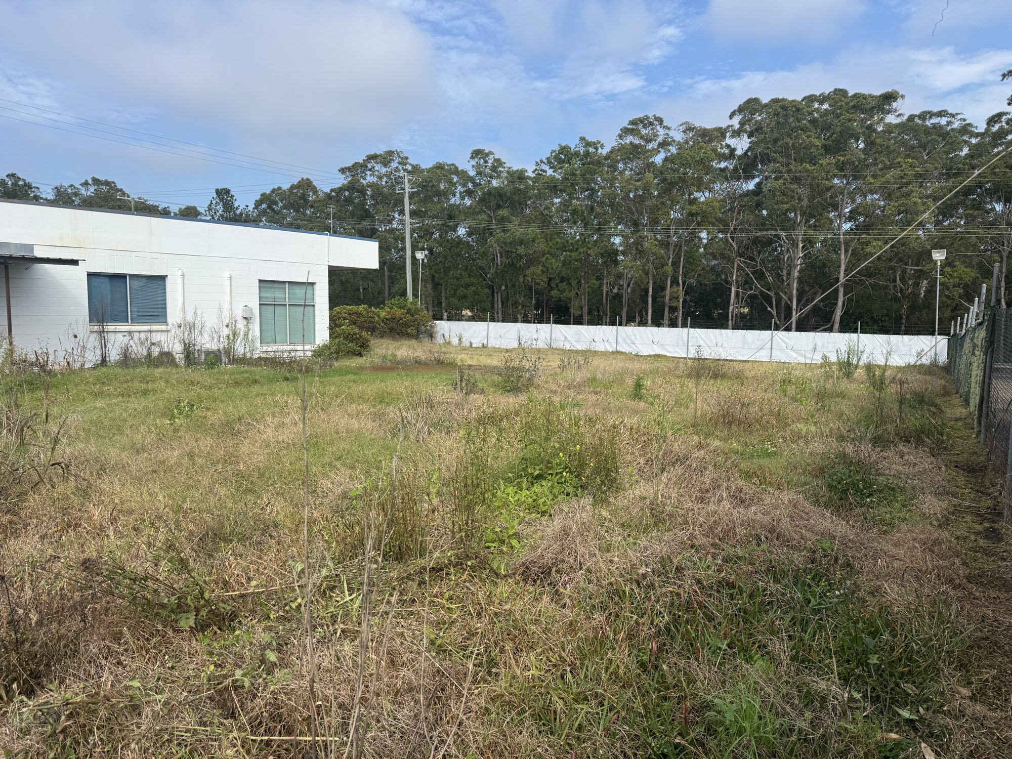Overgrown vacant commercial lot on the Sunshine Coast before slashing
