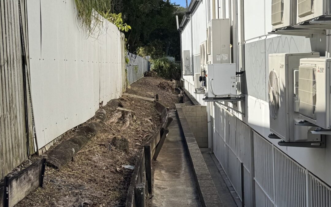Keeping Side Access and Service Paths Clear on Commercial Buildings
