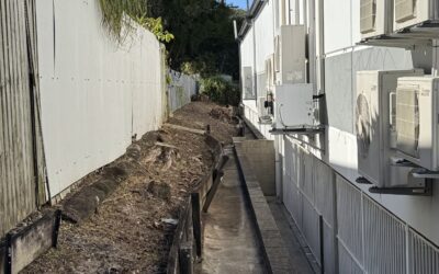 Keeping Side Access and Service Paths Clear on Commercial Buildings