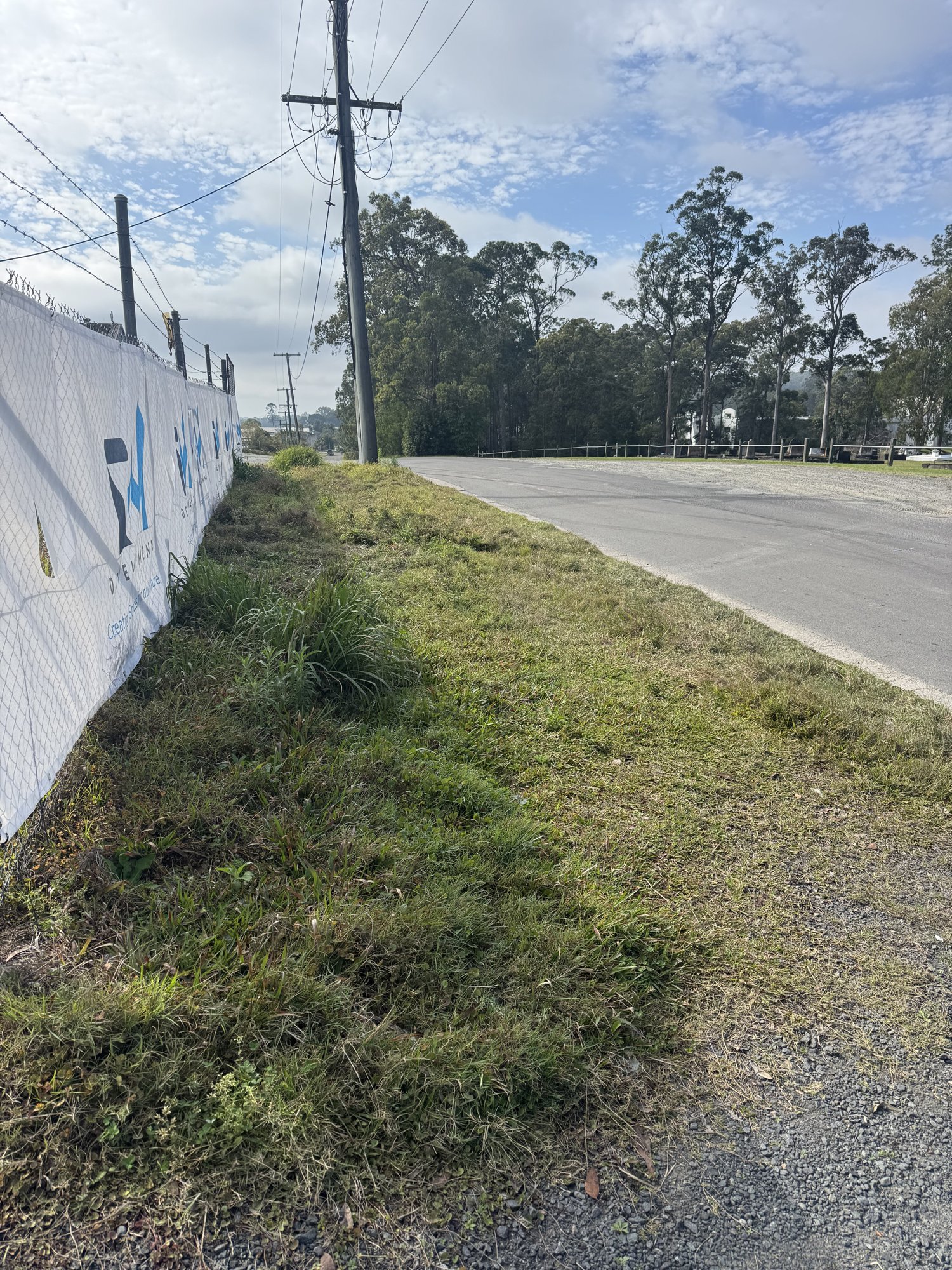 Overgrown street verge along the site hoarding before clearing