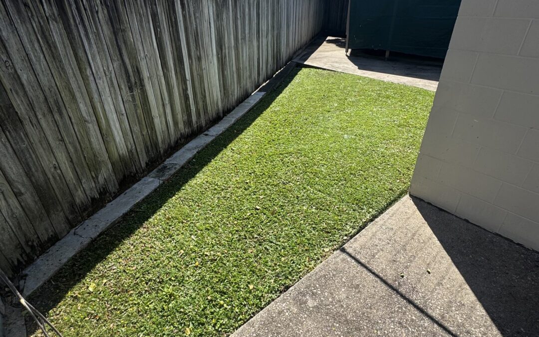 What We Look For on a Commercial Grounds Site Walk