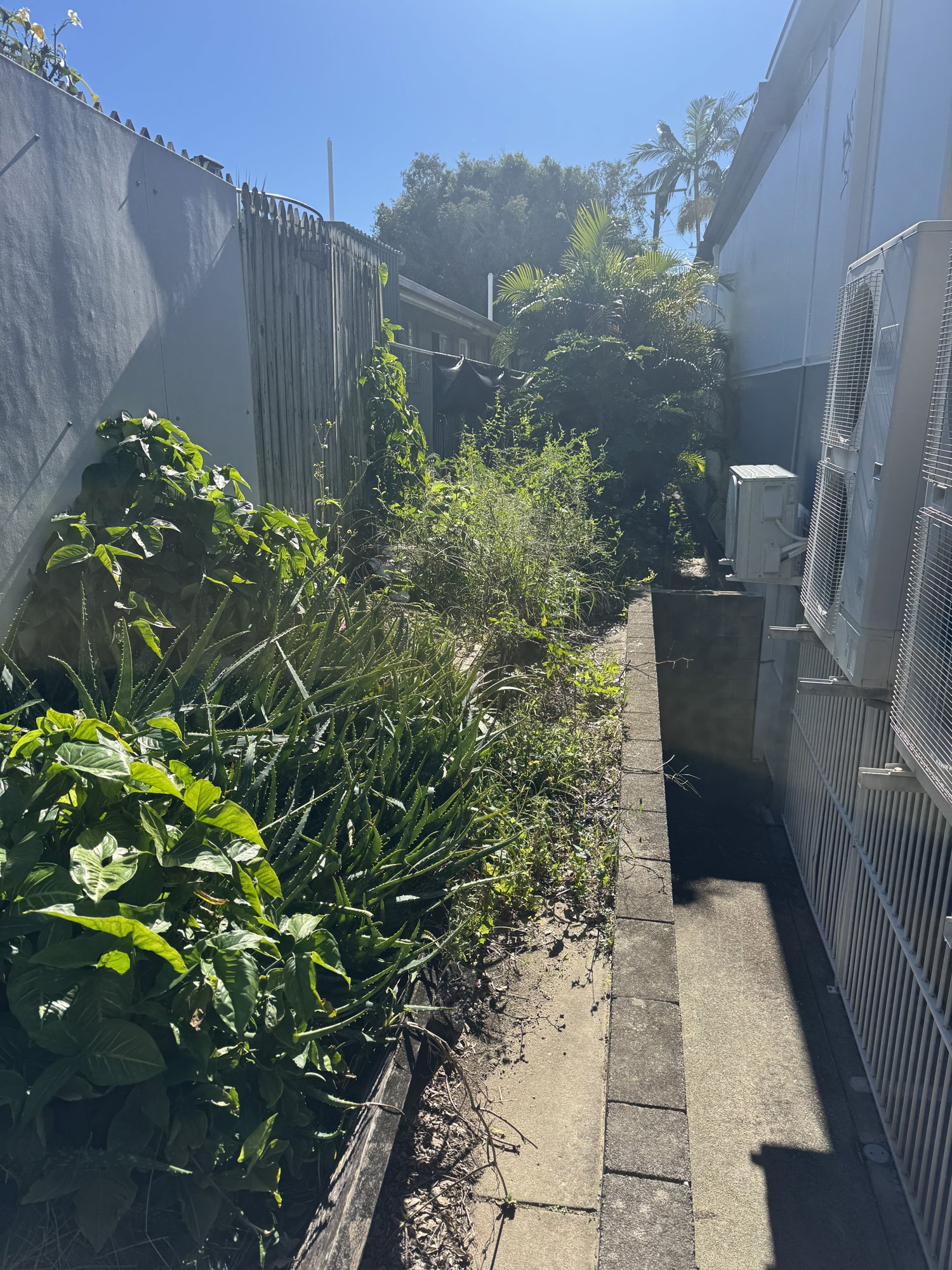 Weeds grown up to the air-conditioning units in a commercial side passage